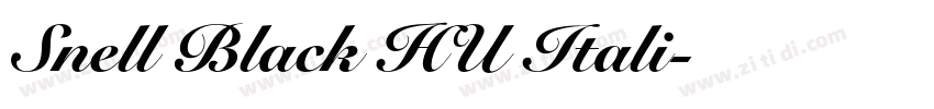 Snell Black HU Itali字体转换